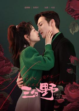 三分野大结局点映礼