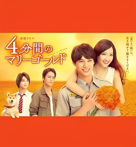 四分钟的金盏菊