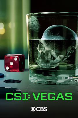 犯罪现场调查：维加斯 第三季