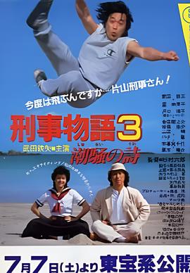 刑事物语3：片山刑警在海岛