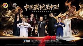中国武术王中王第二季